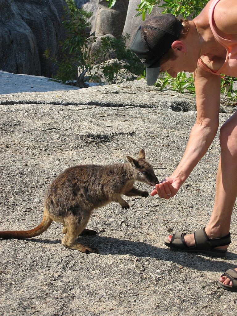 070 Granite Gorge.jpg